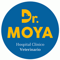 Hospital Clínico Veterinario Doctor Moya