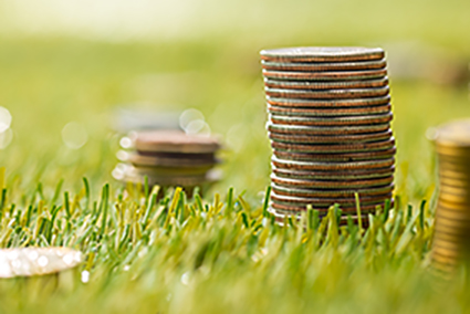 The columns of coins on green grass. Saving and investment financial concept