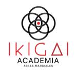 foto de perfil con logotipo de Ikigai academia de artes marciales