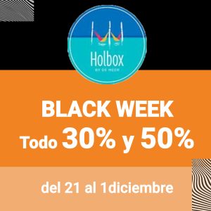 CAMPAÑA BLACK FRIDAY 2024