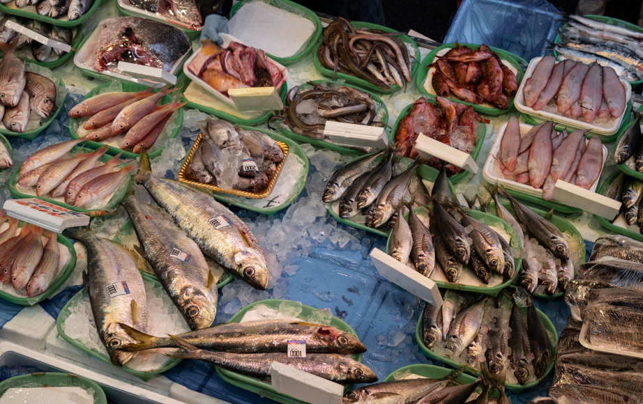 Pescaderia Santa Rosa 