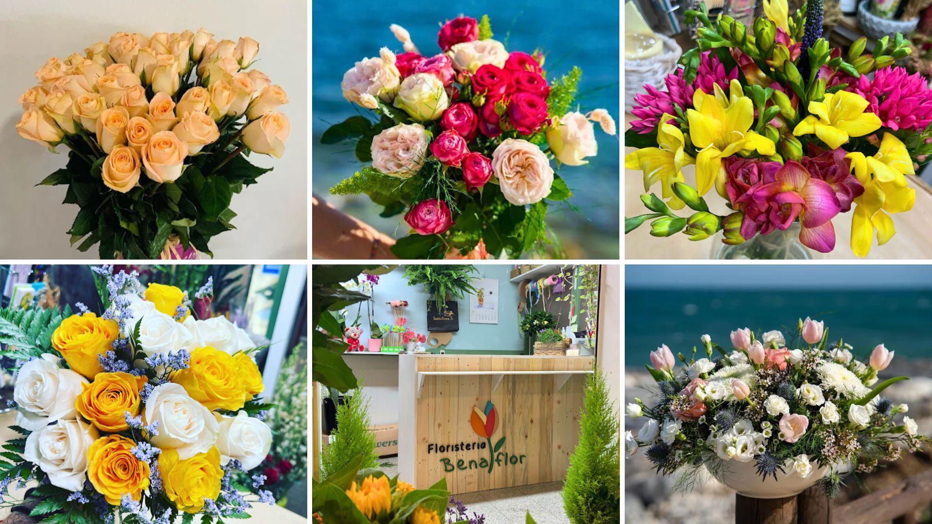 Recurso Web Benalflor