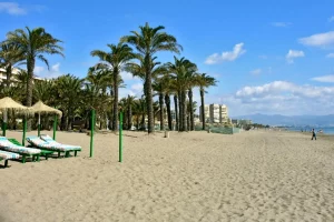dos hamcas mirando al mar con una playa siendo la de Torremolinos y al final se ven 3 torres que son las torres de playamar y tambien hay un pequeña zona de palmeras al lado del mar. Prepara tú negocio en temporada alta en Torremolinos